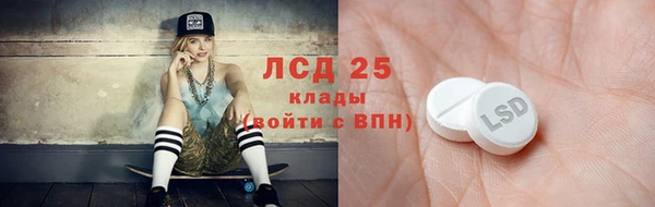 шишки Алексин