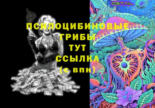 молекула духа Алексеевка