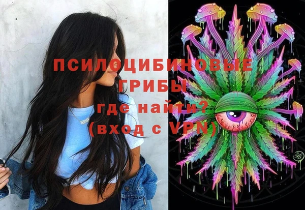 молекула духа Алексеевка