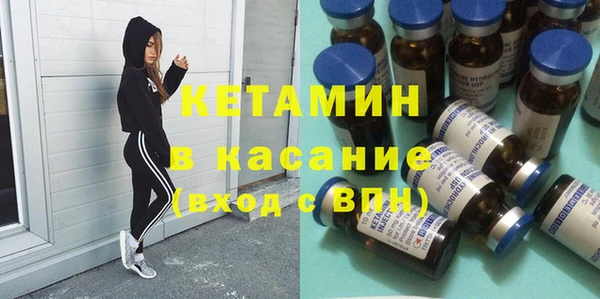 шишки Алексин